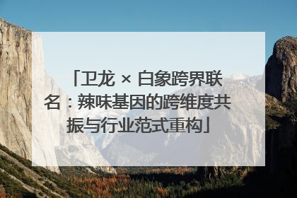 卫龙 × 白象跨界联名：辣味基因的跨维度共振与行业范式重构