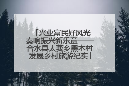 兴业富民好风光 奏响振兴新乐章——合水县太莪乡黑木村发展乡村旅游纪实