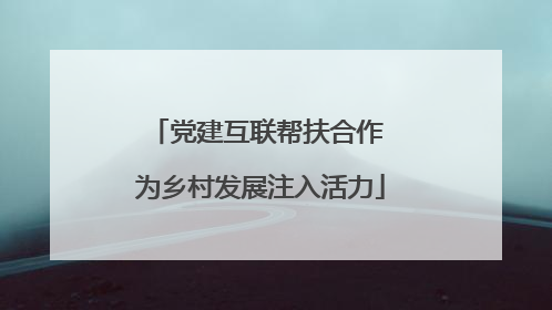 党建互联帮扶合作 为乡村发展注入活力