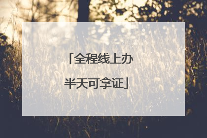全程线上办 半天可拿证
