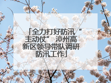 全力打好防汛“主动仗” 漳州高新区领导带队调研防汛工作