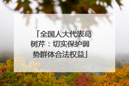 全国人大代表葛树芹：切实保护弱势群体合法权益