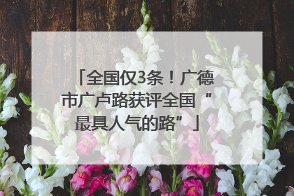 全国仅3条！广德市广卢路获评全国“最具人气的路”