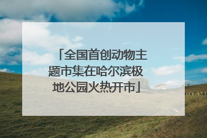 全国首创动物主题市集在哈尔滨极地公园火热开市