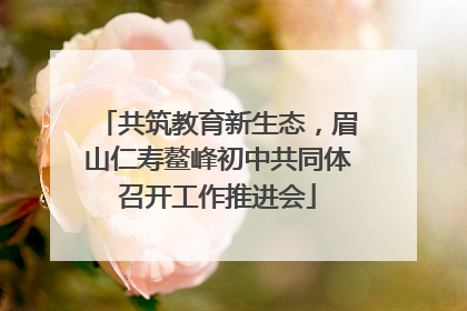 共筑教育新生态，眉山仁寿鳌峰初中共同体召开工作推进会
