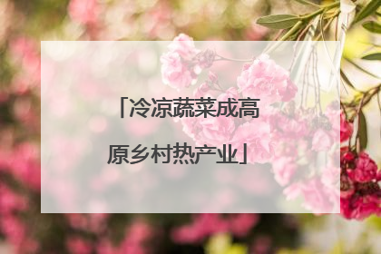 冷凉蔬菜成高原乡村热产业