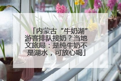 内蒙古“牛奶湖”游客排队接奶？当地文旅局：是纯牛奶不是湖水，可放心喝