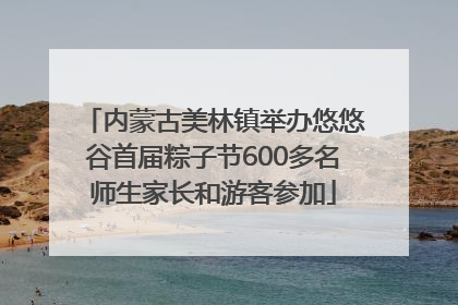 内蒙古美林镇举办悠悠谷首届粽子节600多名师生家长和游客参加