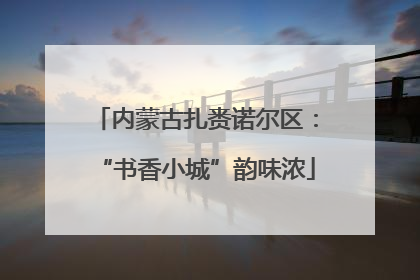 内蒙古扎赉诺尔区：“书香小城”韵味浓