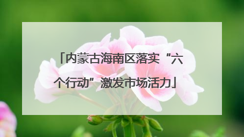 内蒙古海南区落实“六个行动”激发市场活力