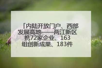 内陆开放门户、西部发展高地——两江新区携72家企业、163组创新成果、183件特色产品亮相西洽会