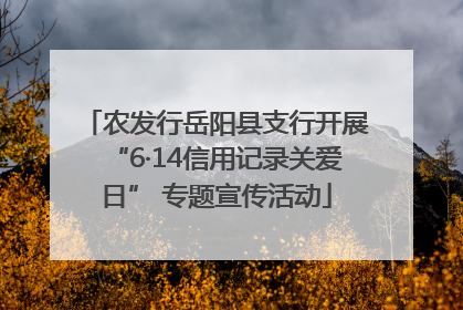 农发行岳阳县支行开展“6·14信用记录关爱日” 专题宣传活动