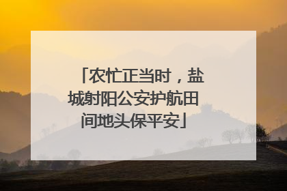 农忙正当时，盐城射阳公安护航田间地头保平安
