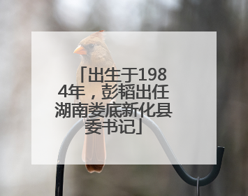 出生于1984年，彭韬出任湖南娄底新化县委书记