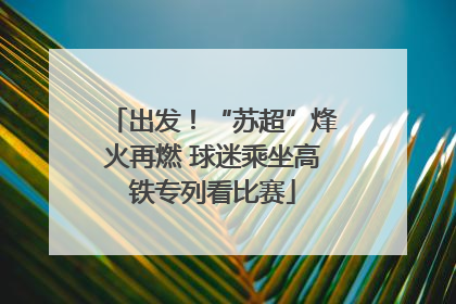 出发！“苏超”烽火再燃 球迷乘坐高铁专列看比赛