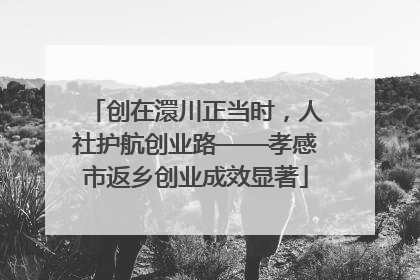 创在澴川正当时，人社护航创业路——孝感市返乡创业成效显著