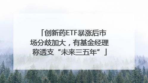 创新药ETF暴涨后市场分歧加大，有基金经理称透支“未来三五年”