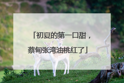 初夏的第一口甜，蔡甸张湾油桃红了