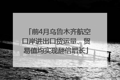 前4月乌鲁木齐航空口岸进出口货运量、贸易值均实现翻倍增长