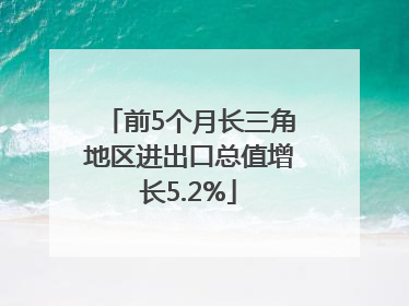 前5个月长三角地区进出口总值增长5.2%