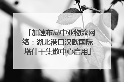 加速布局中亚物流网络：湖北港口汉欧国际塔什干集散中心启用