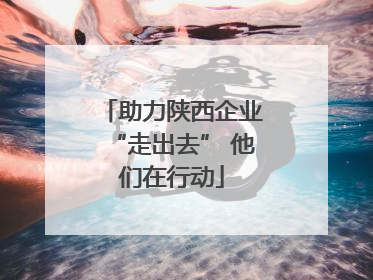 助力陕西企业“走出去” 他们在行动