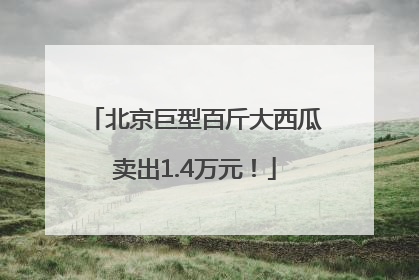 北京巨型百斤大西瓜卖出1.4万元！