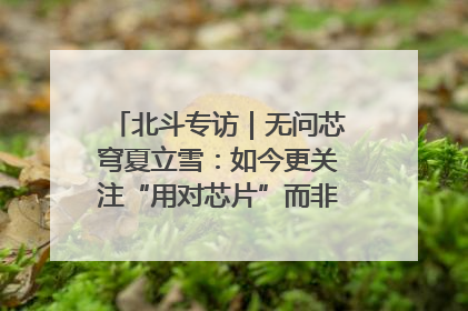 北斗专访｜无问芯穹夏立雪：如今更关注“用对芯片”而非“用贵芯片”