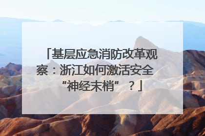 基层应急消防改革观察：浙江如何激活安全“神经末梢”？