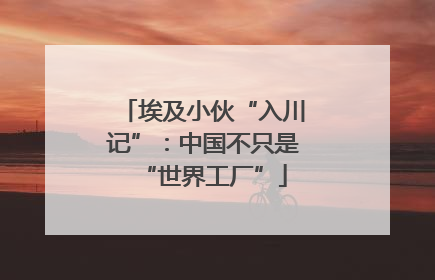 埃及小伙“入川记”：中国不只是“世界工厂”