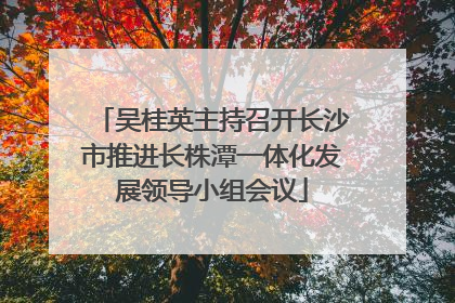 吴桂英主持召开长沙市推进长株潭一体化发展领导小组会议