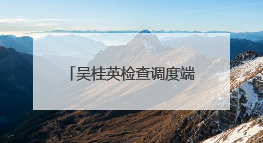 吴桂英检查调度端午假期重点工作