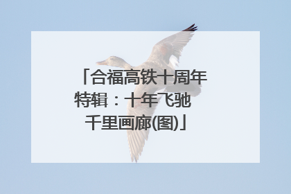 合福高铁十周年特辑：十年飞驰 千里画廊(图)