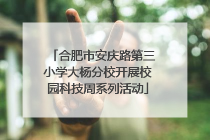 合肥市安庆路第三小学大杨分校开展校园科技周系列活动