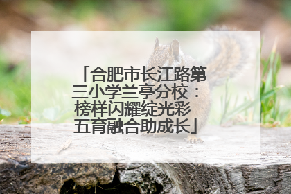 合肥市长江路第三小学兰亭分校：榜样闪耀绽光彩 五育融合助成长