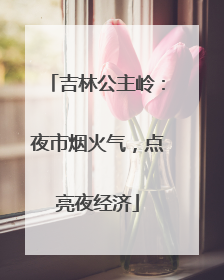 吉林公主岭：夜市烟火气，点亮夜经济