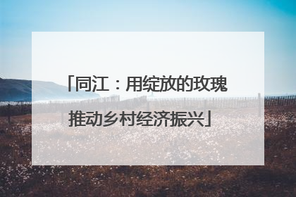 同江：用绽放的玫瑰 推动乡村经济振兴