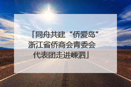 同舟共建“侨爱岛” 浙江省侨商会青委会代表团走进嵊泗