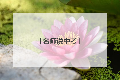 名师说中考