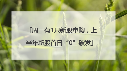 周一有1只新股申购，上半年新股首日“0”破发