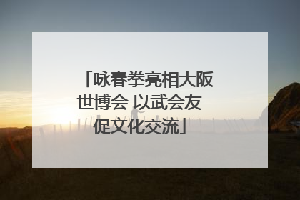 咏春拳亮相大阪世博会 以武会友促文化交流