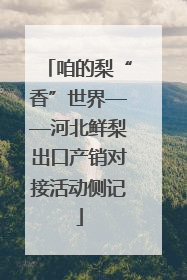咱的梨“香”世界——河北鲜梨出口产销对接活动侧记
