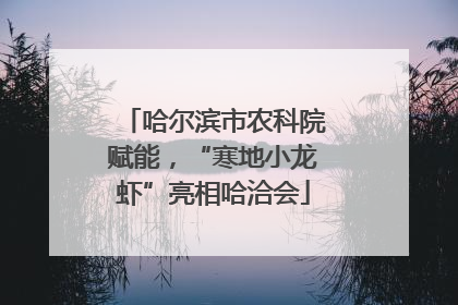 哈尔滨市农科院赋能，“寒地小龙虾”亮相哈洽会