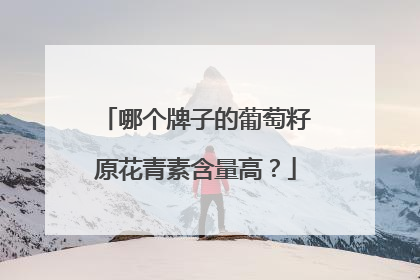 哪个牌子的葡萄籽原花青素含量高？