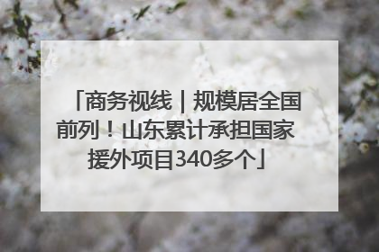 商务视线｜规模居全国前列！山东累计承担国家援外项目340多个