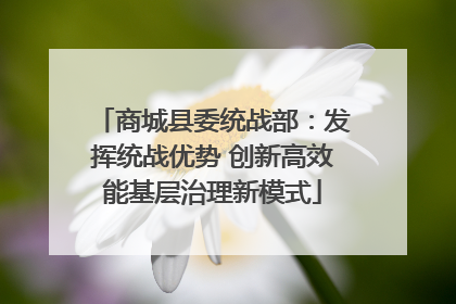 商城县委统战部：发挥统战优势 创新高效能基层治理新模式