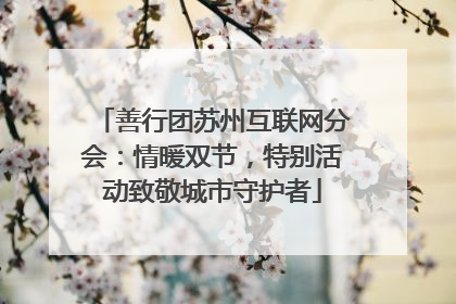 善行团苏州互联网分会：情暖双节，特别活动致敬城市守护者