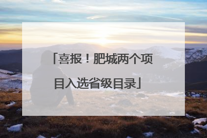 喜报！肥城两个项目入选省级目录