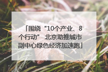 围绕“10个产业、8个行动” 北京助推城市副中心绿色经济加速跑
