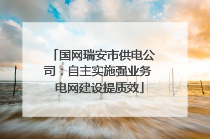 国网瑞安市供电公司：自主实施强业务 电网建设提质效
